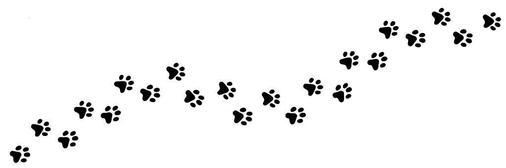 walking paw prints to right