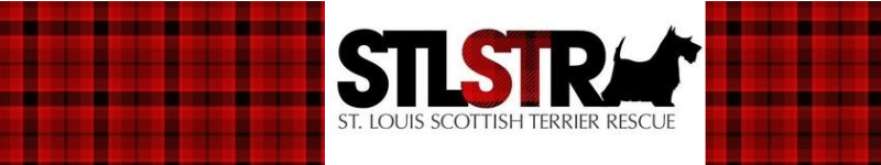 St. Louis Scottish Terrier Rescue